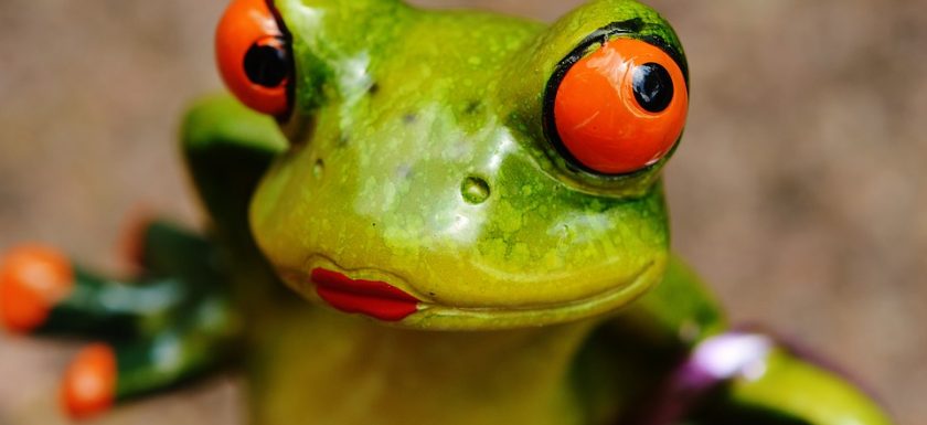 alt="pot frog with lipstick looking fierce"