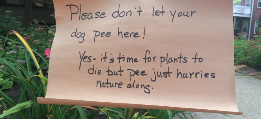 alt="poster saying: Please don't let your dog pee here!"