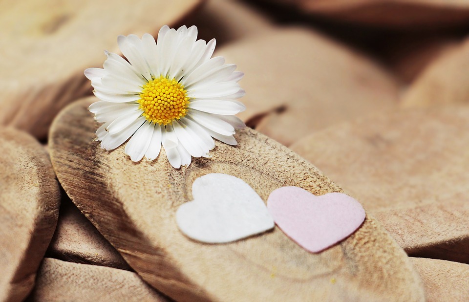 alt="daisy and two hearts on wooden discs"